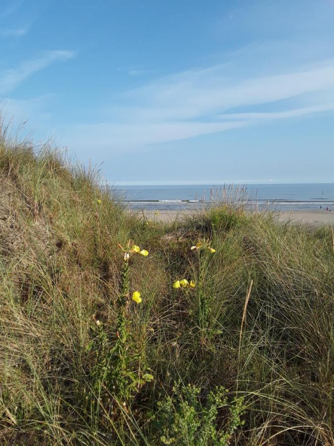Vakantiestudio De Zeeparel De Panne Exteriér fotografie